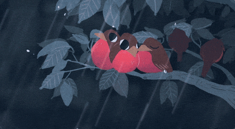 Rainy Day Birds GIF by Olivia Huynh - Find & Share on GIPHY