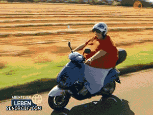 Fat Guy They See Me Rolling GIF by Cheezburger