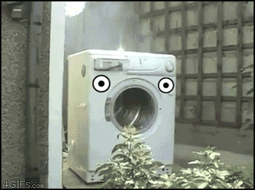 Image result for spin cycle washing machine gif