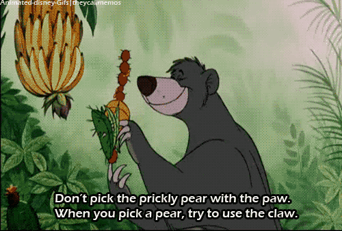 Jungle Book Best Movie Ever GIF - Find & Share on GIPHY
