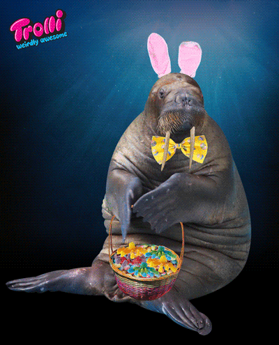 Easter GIF by Trolli - Find & Share on GIPHY