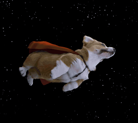 Montagem de cachorro, com capa de super herói, voando no espaço até colidir com um satélite, que explode