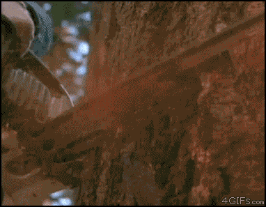 Chuck Norris Tree GIF - Find & Share on GIPHY