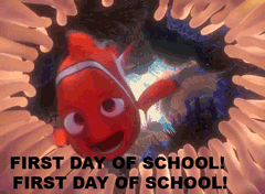 Finding Nemo School GIF