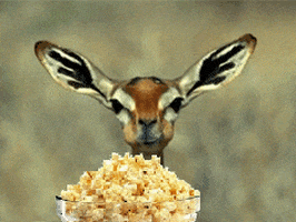 Image result for eating popcorn gif"