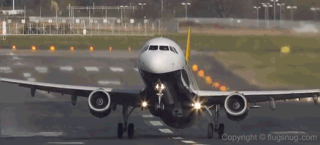 Windy Taking Off GIF - Find & Share on GIPHY