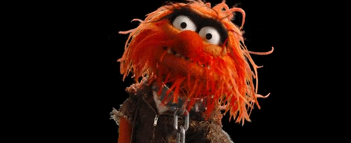 The Muppets Serie GIF - Find & Share on GIPHY