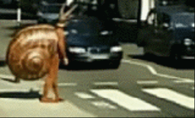 Cross Road GIF - Find & Share on GIPHY