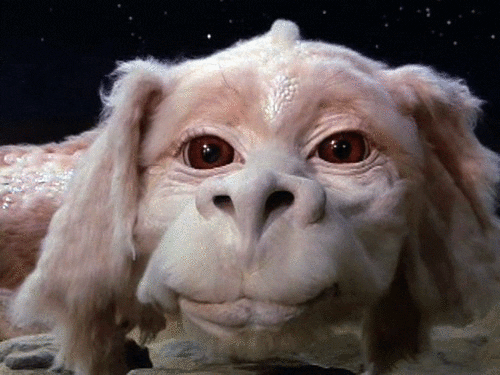 Neverending Story GIF - Find & Share on GIPHY