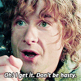 The Lord Of The Rings Pippin GIF