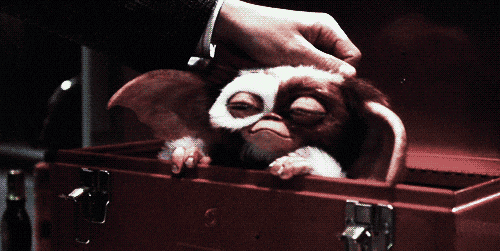 Happy Gremlins Find And Share On Giphy