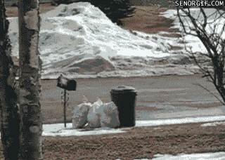 Angry Best Of Week GIF by Cheezburger - Find & Share on GIPHY