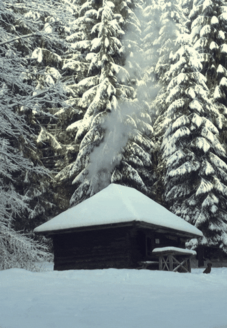 Winter GIF - Find & Share on GIPHY
