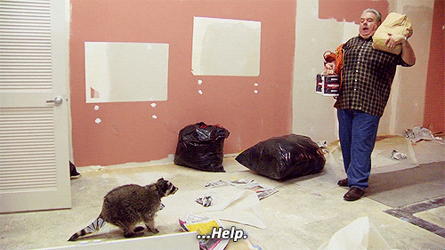 Parks And Recreation Raccoon GIF - Find & Share on GIPHY